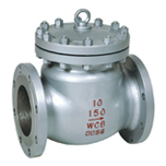 Swing check valve